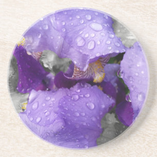 raindrops on iris drink coaster