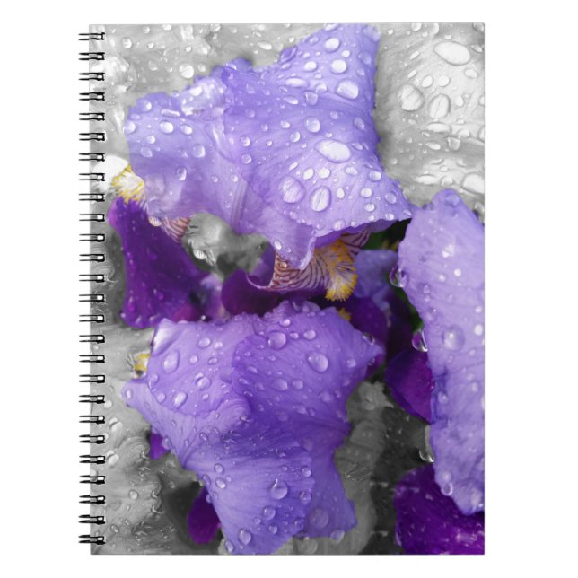 raindrops on iris notebook (Front)