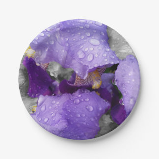 raindrops on iris paper plates