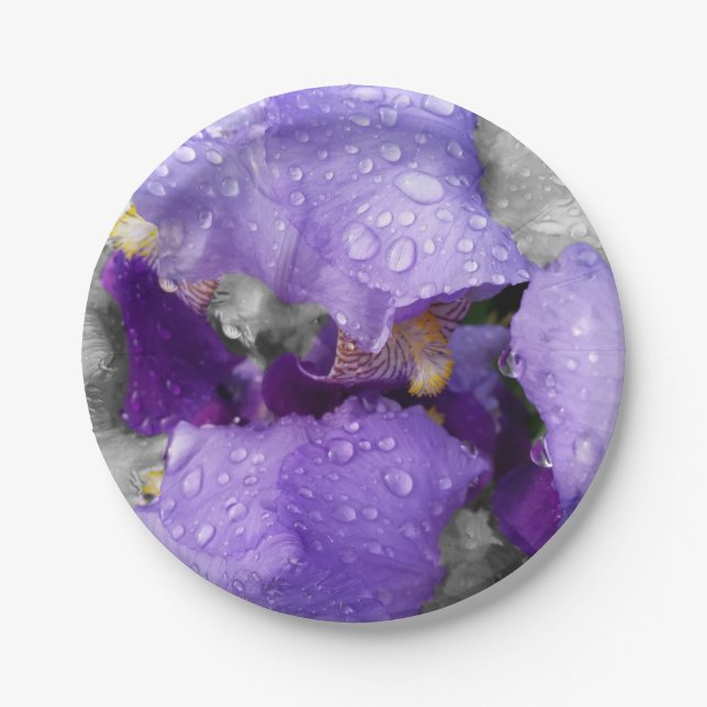 raindrops on iris paper plates (Front)