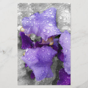 raindrops on iris stationery