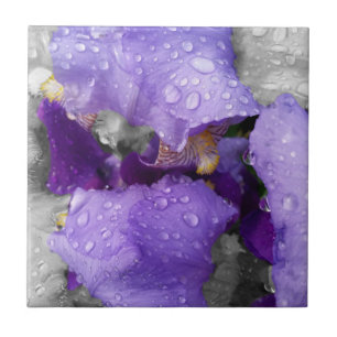 raindrops on iris tile