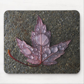 Raindrops on Leaf Mouse Pad