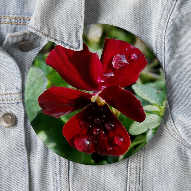 Raindrops on pansy button (In Situ)