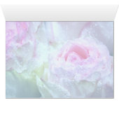 Raindrops on Pastel Pink, White, Yellow Rose (Inside Horizontal (Bottom))