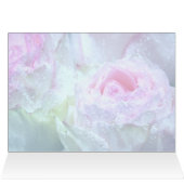 Raindrops on Pastel Pink, White, Yellow Rose (Inside Horizontal (Top))