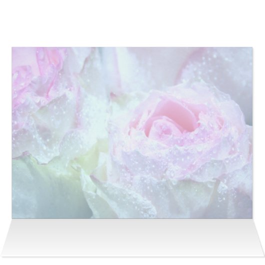Raindrops on Pastel Pink, White, Yellow Rose (Inside Horizontal (Top))