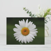 Raindrops on Petals (Standing Front)