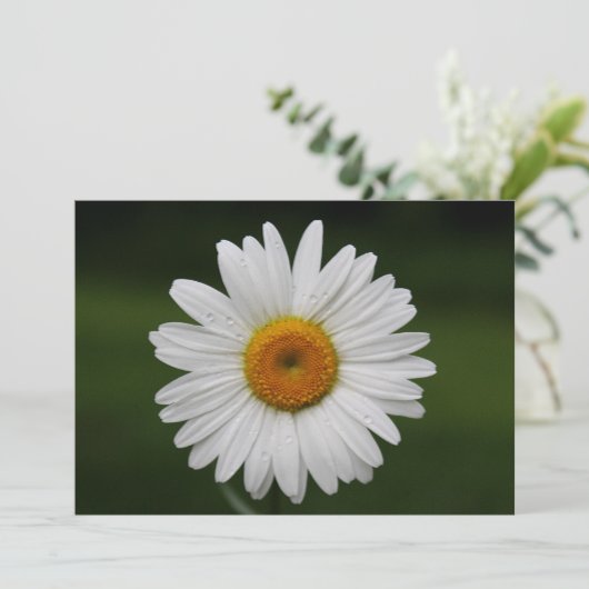 Raindrops on Petals (Standing Front)