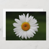 Raindrops on Petals (Front/Back)