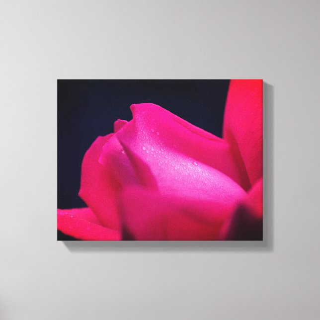 Raindrops On Red Rosebud  Canvas Print (Front)