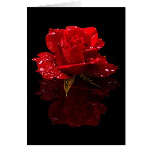 RAINDROPS ON ROSE CARDS (Front)