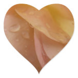 Raindrops on Rose Petals Pale Pink Floral Heart Sticker