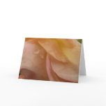 Raindrops on Rose Petals Pink Peach Floral Card