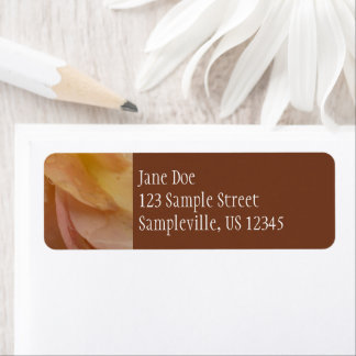 Raindrops on Rose Petals Pink Peach Floral Label