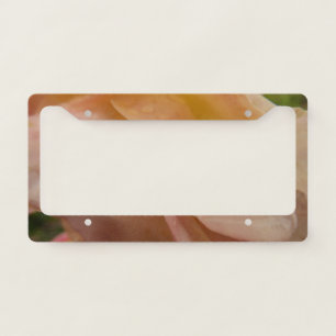 Raindrops on Rose Petals Pink Peach Floral License Plate Frame
