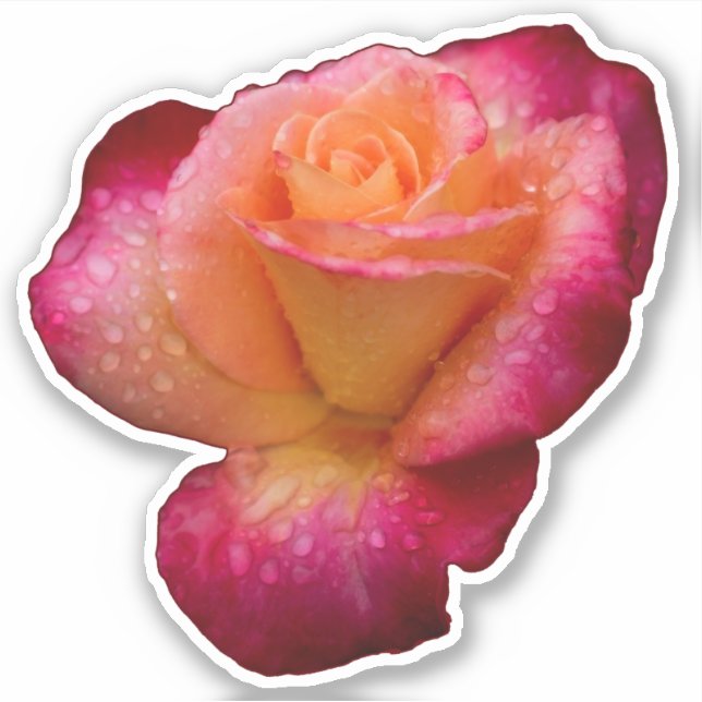 Raindrops On Roses Sticker (Front)