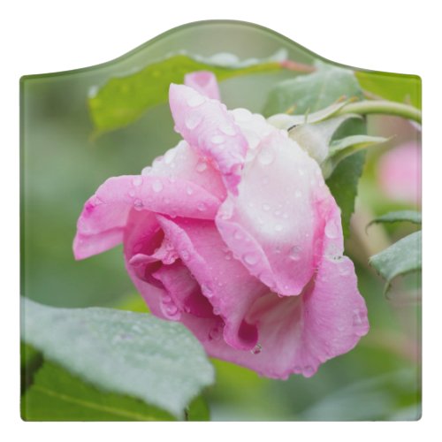 raindrops on the rose in bloom mouse mat door sign