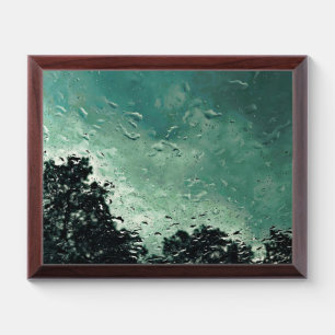 raindrops on the window award plaque