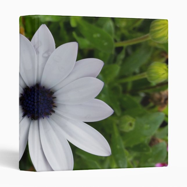 raindrops on white binder (Front/Spine)