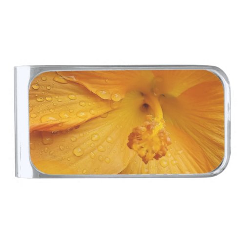 raindrops on yellow petals silver finish money clip