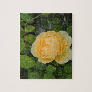 Raindrops on Yellow Rose Jigsaw Puzzle