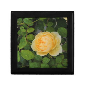Raindrops on Yellow Rose Keepsake Box