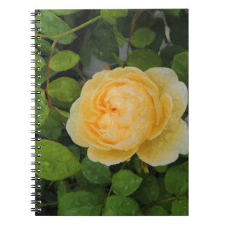 Raindrops on Yellow Rose Notebook