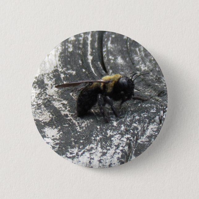 Raindrops Pinback Button (Front)