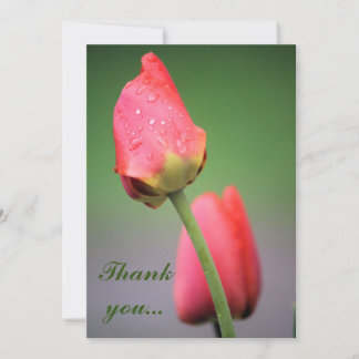 Raindrops Pink Tulips Thank you cards