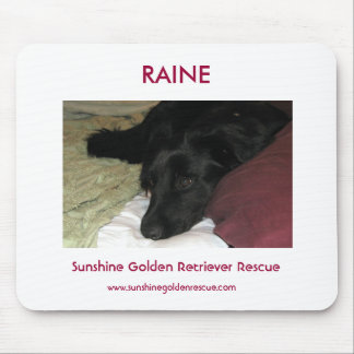Raine - SunshineGolden Retriever Rescue Mouse Pad