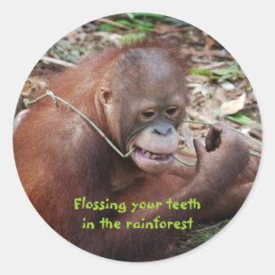 Rainforest Animals Floss Teeth Classic Round Sticker