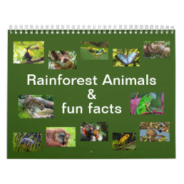Rainforest Animals &amp; Fun Facts 12 month Calendar