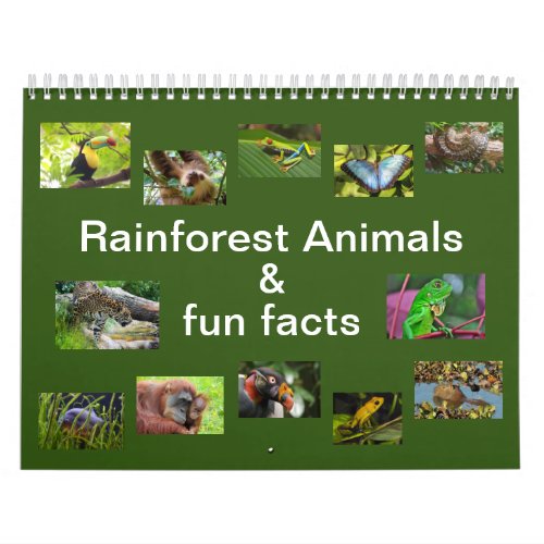 Rainforest Animals  Fun Facts 12 month Calendar