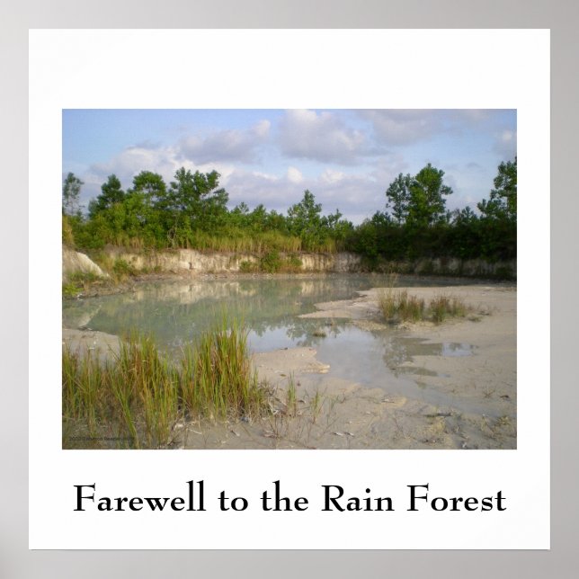 Rainforest Conservation  poster (Front)