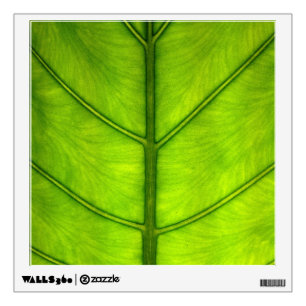 Rainforest Leaf Wall Sticker