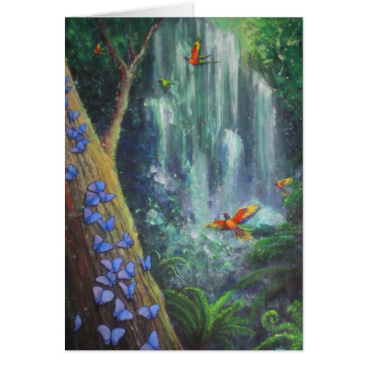 Rainforest Magic Cards (Front)