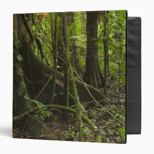 Rainforest, Mapari River North Rupununi, 3 Ring Binder