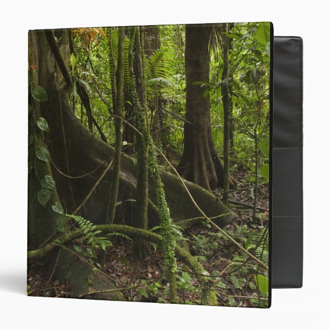 Rainforest, Mapari River North Rupununi, 3 Ring Binder (Front/Inside)
