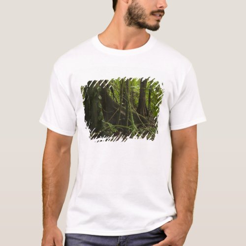 Rainforest Mapari River North Rupununi T_Shirt