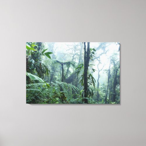 Rainforest Monteverde Cloud Forest Costa Rica Canvas Print