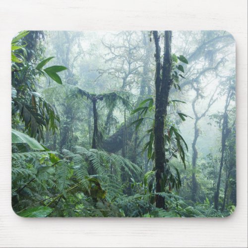 Rainforest Monteverde Cloud Forest Costa Rica Mouse Pad