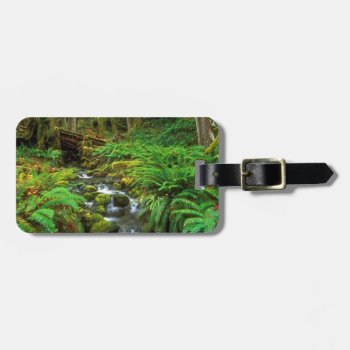 Rainforest Olympic Np Luggage Tag by thecoveredbridge at Zazzle