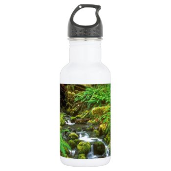 Rainforest Olympic Np Stainless Steel Water Bottle by thecoveredbridge at Zazzle