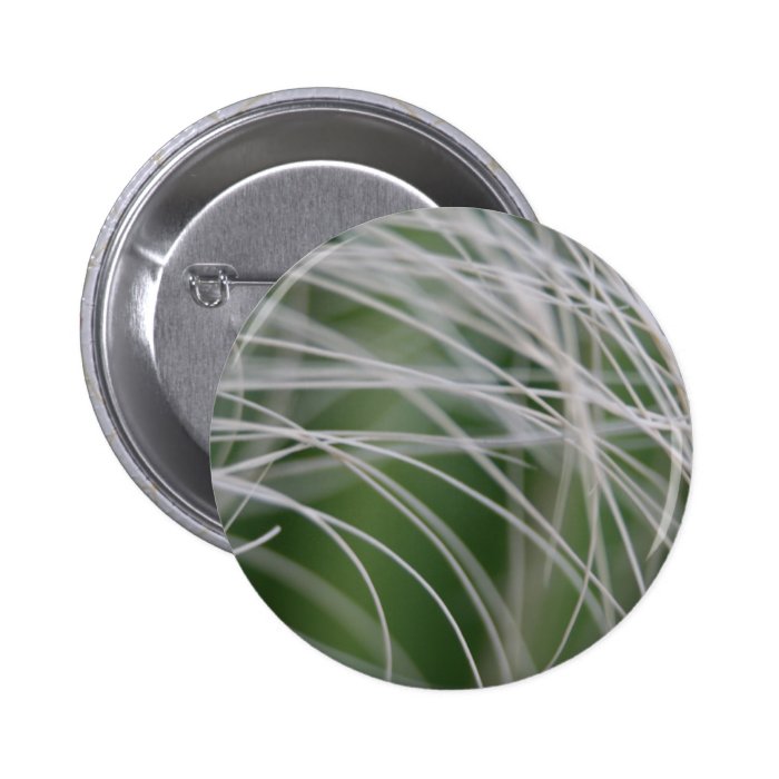 Rainforest Palm Tree Leaf Close Up Pinback Buttons