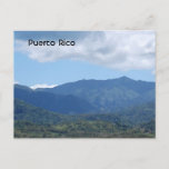 Rainforest Postcard