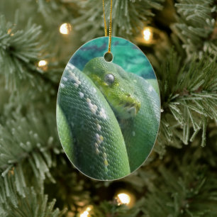 Rainforest snake ornament