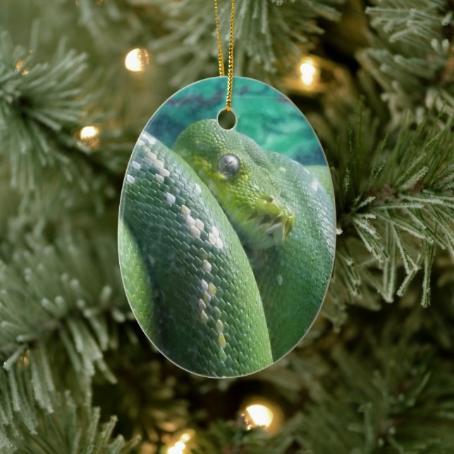 Rainforest snake ornament (Tree)