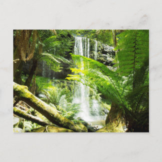 Rainforest Waterfall Postcard