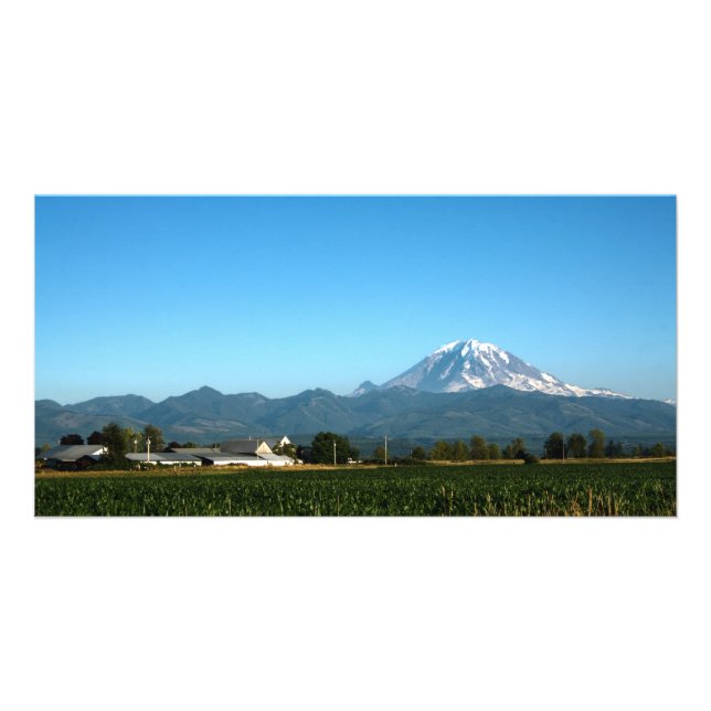 Rainier Cornfield Photo Card (Front)